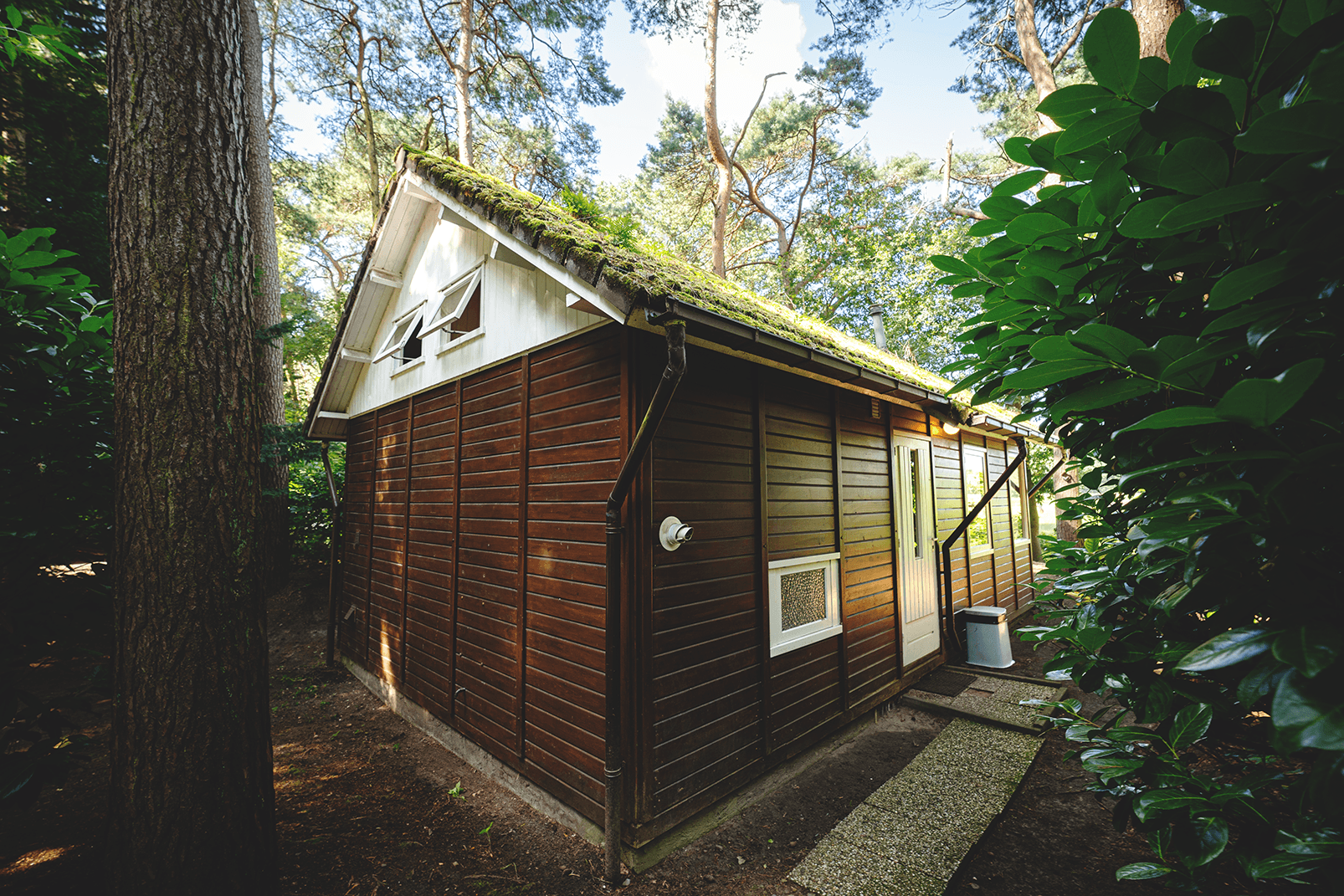 Sfeervol Natuurhuisje aan het Weiland