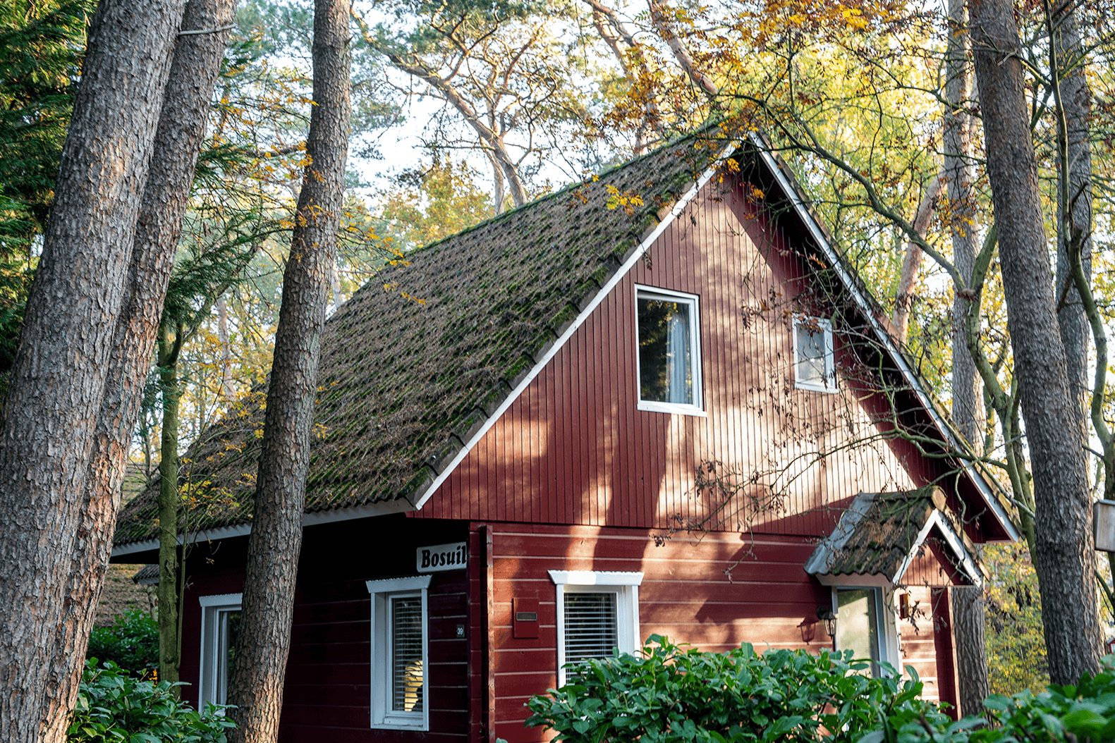 Rustieke Zweedse Lodge 