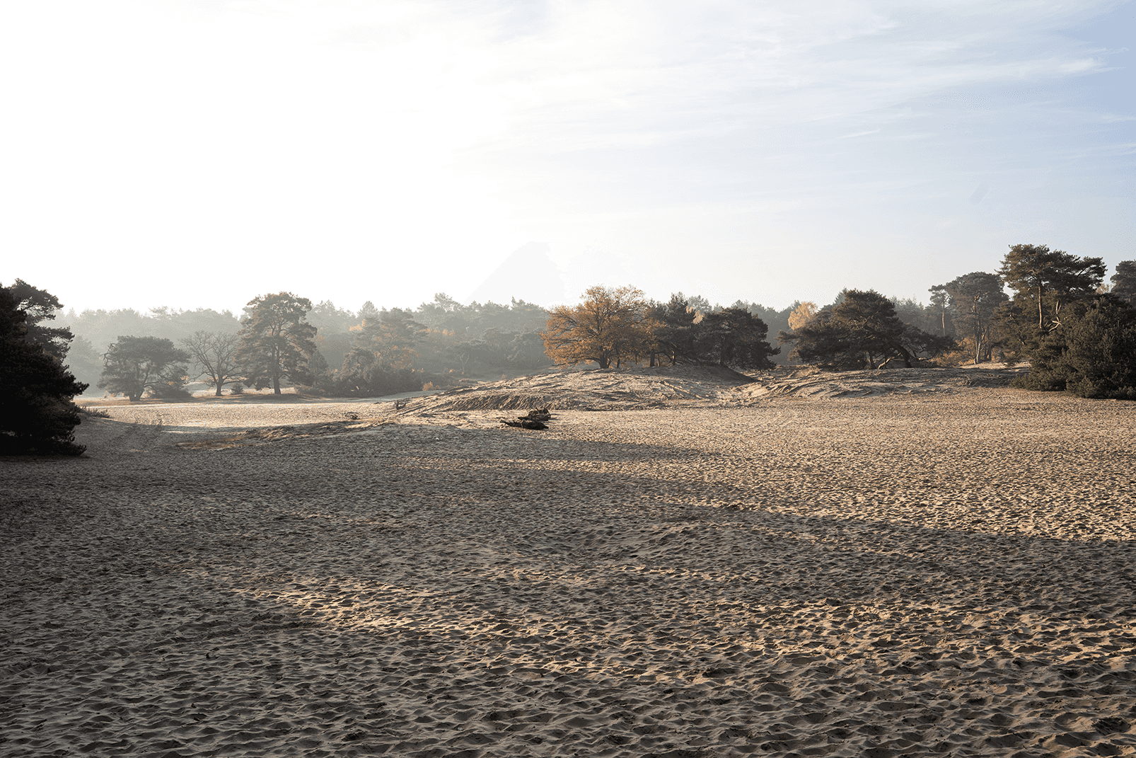 Rustieke Zweedse Lodge 