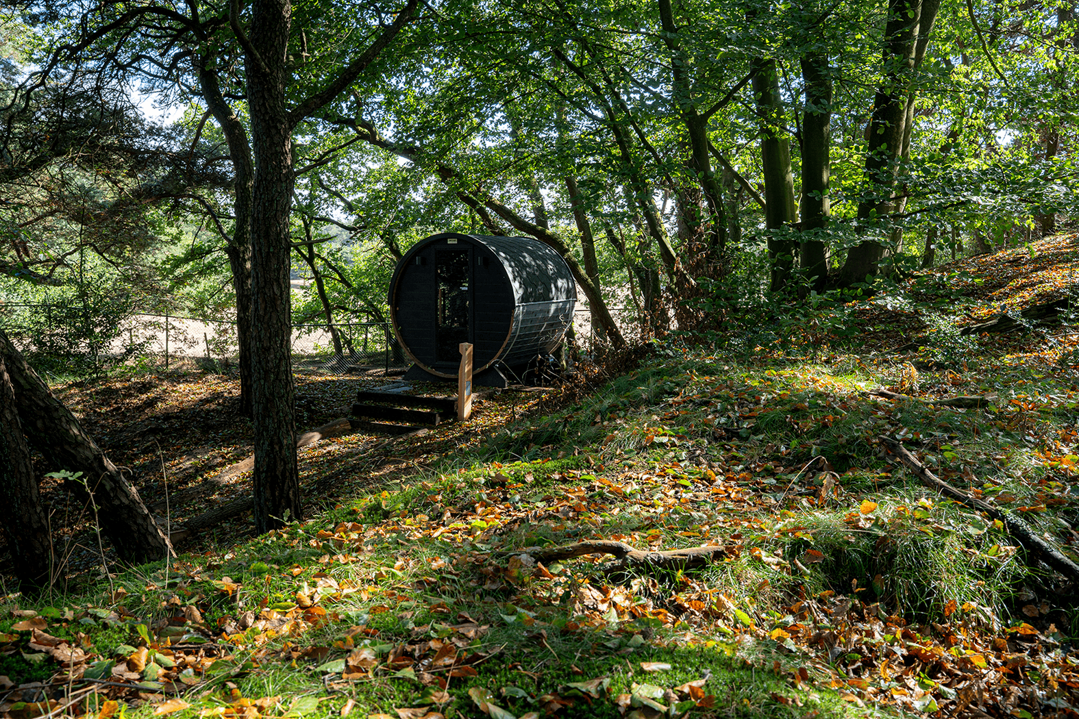 Duinvilla met Privé-Wellness en adembenemend uitzicht op de Duinen