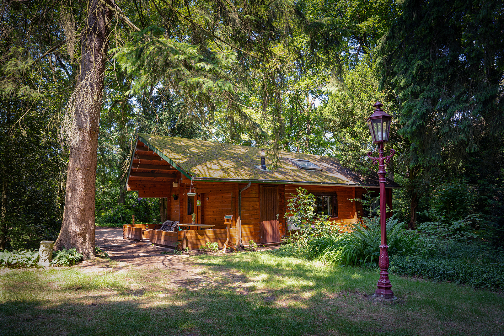 Knus Natuurhuisje aan de Duinrand