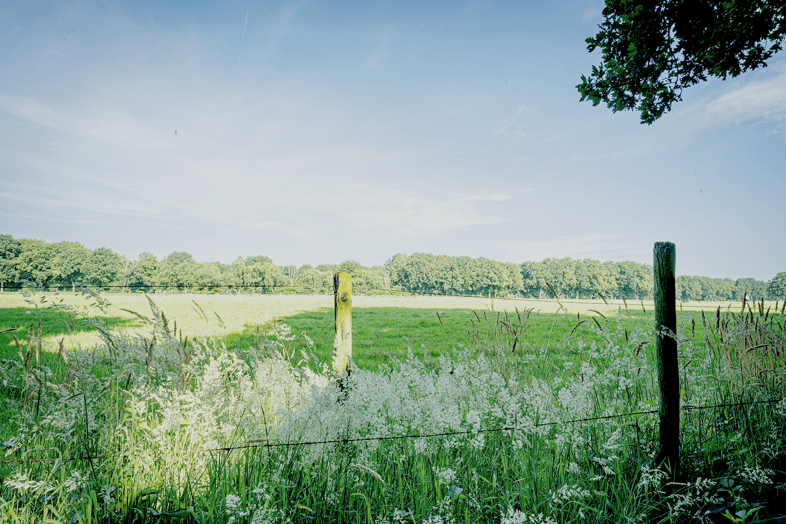 Sfeervolle Zweedse Familieaccommodatie aan Weiland