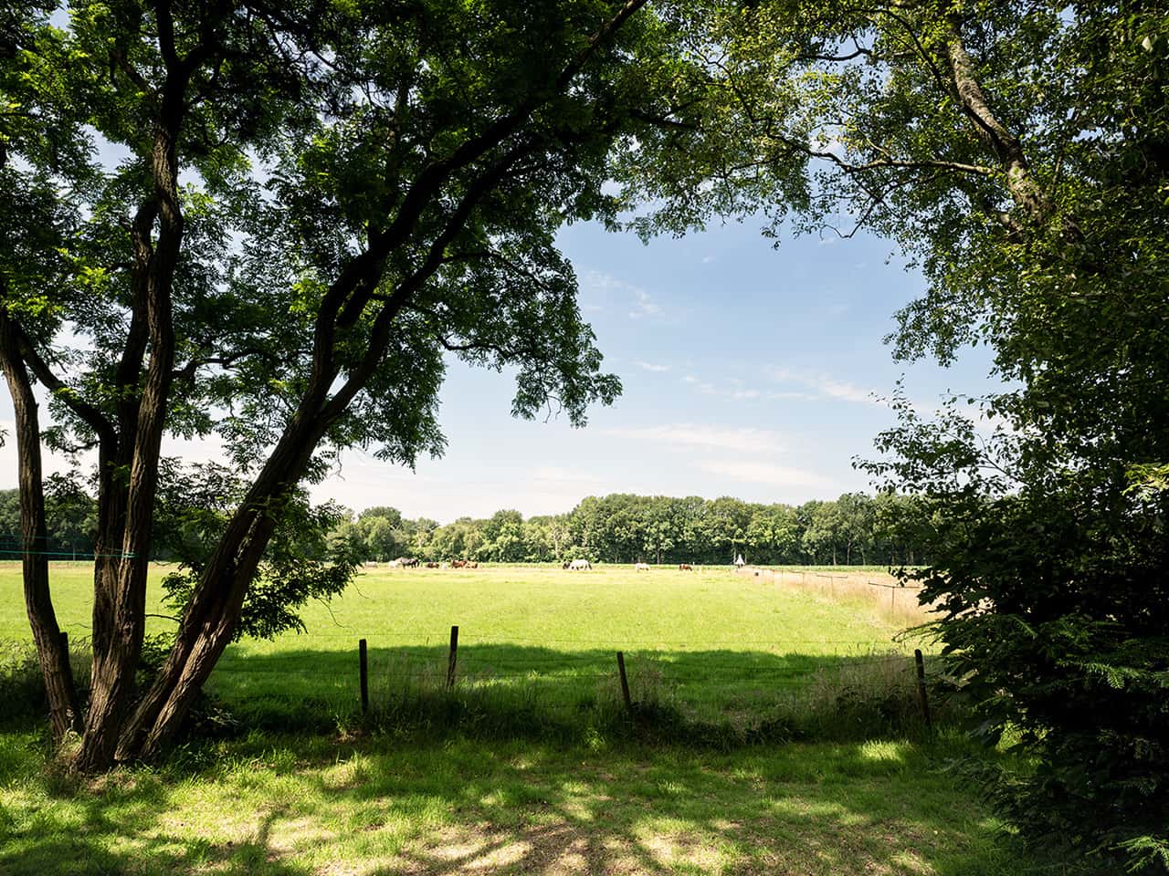 Gelijkvloers Chalet aan Weiland 