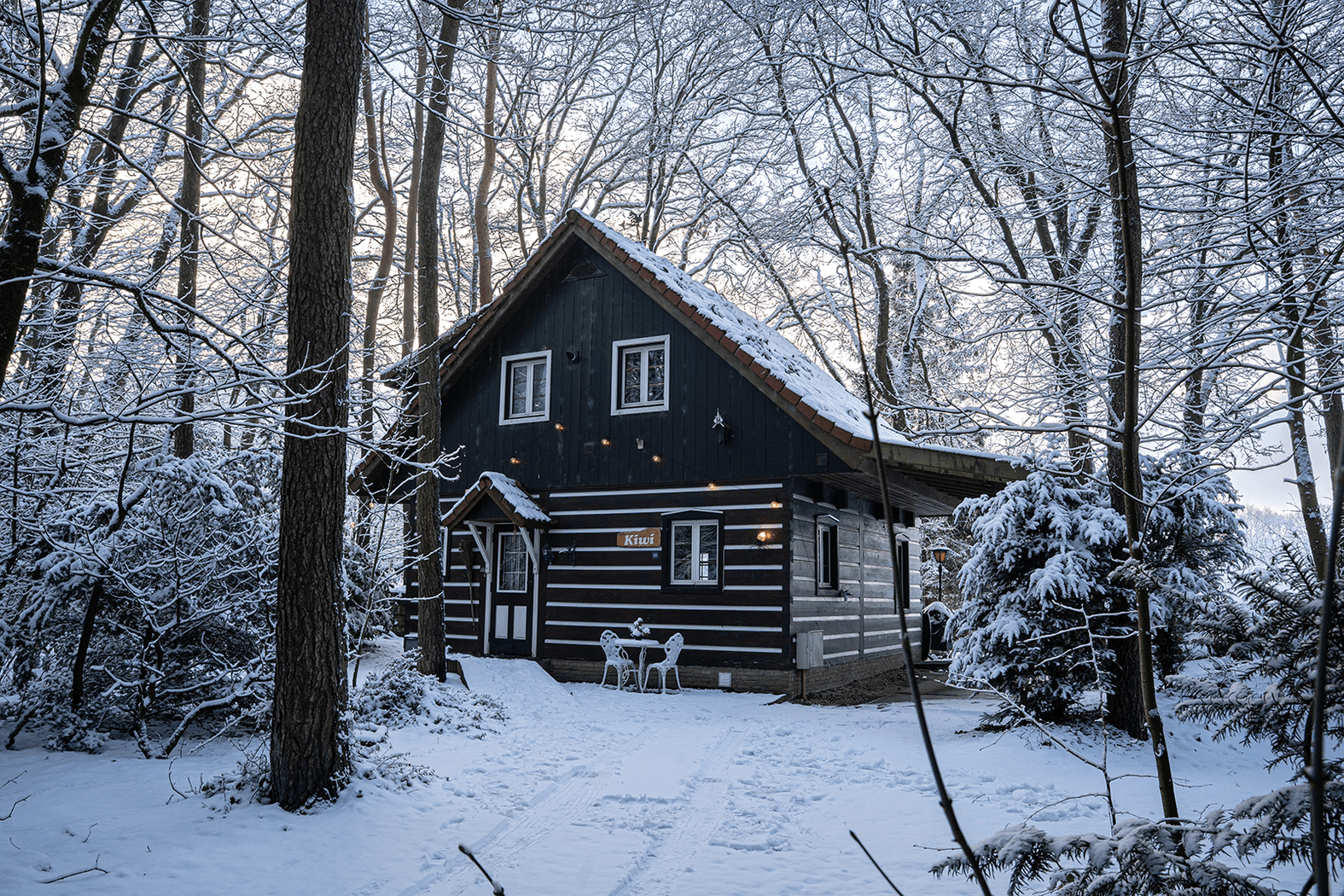 Winterfoto's