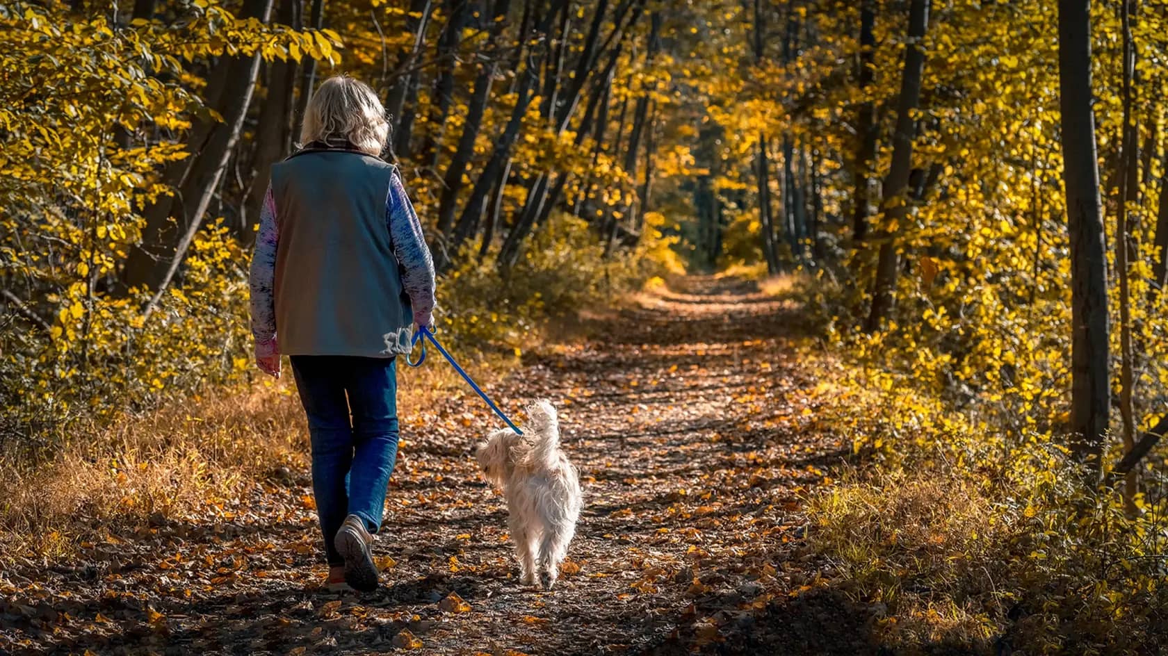 Verblijf met uw hond