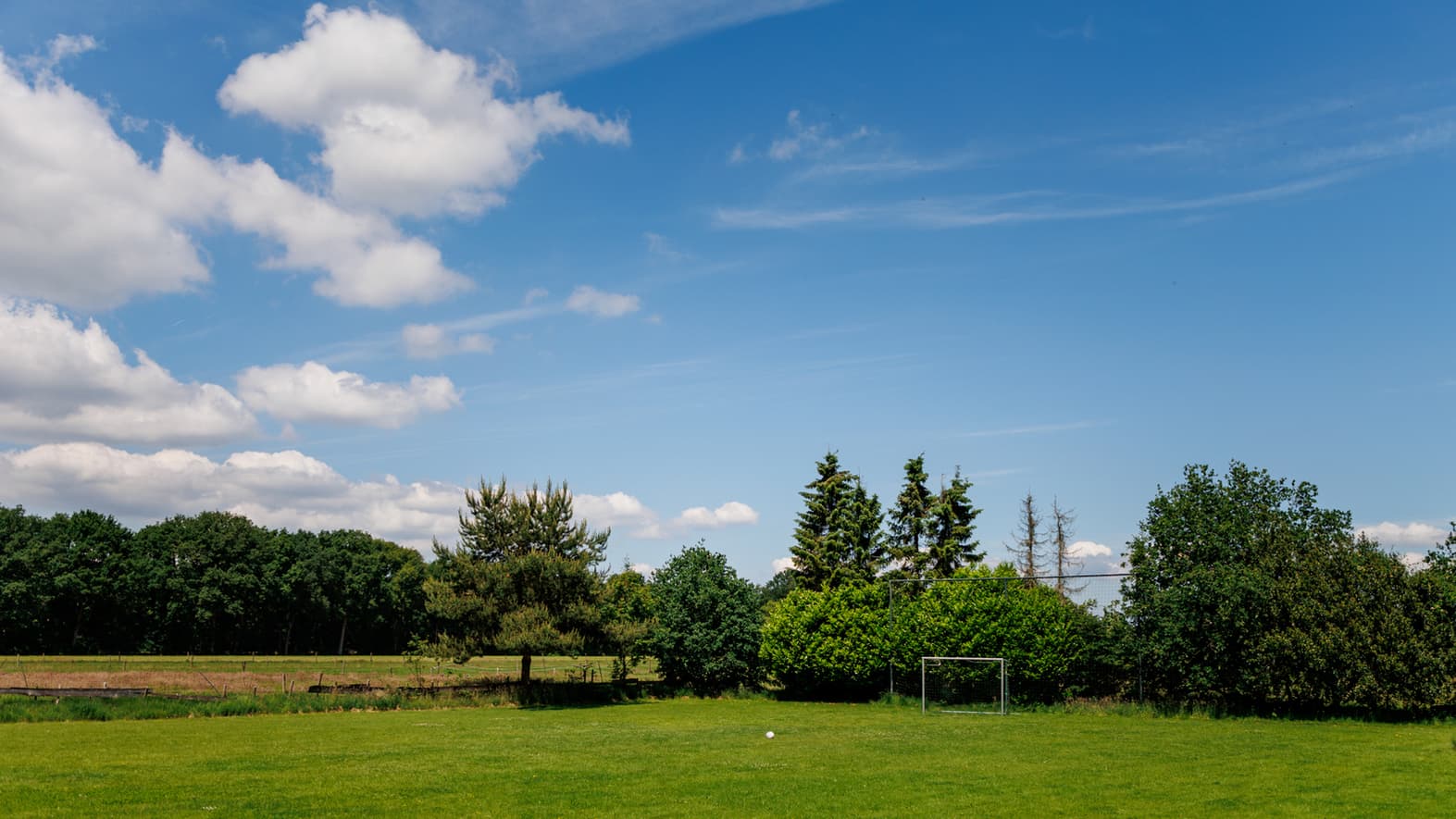 Header afbeelding