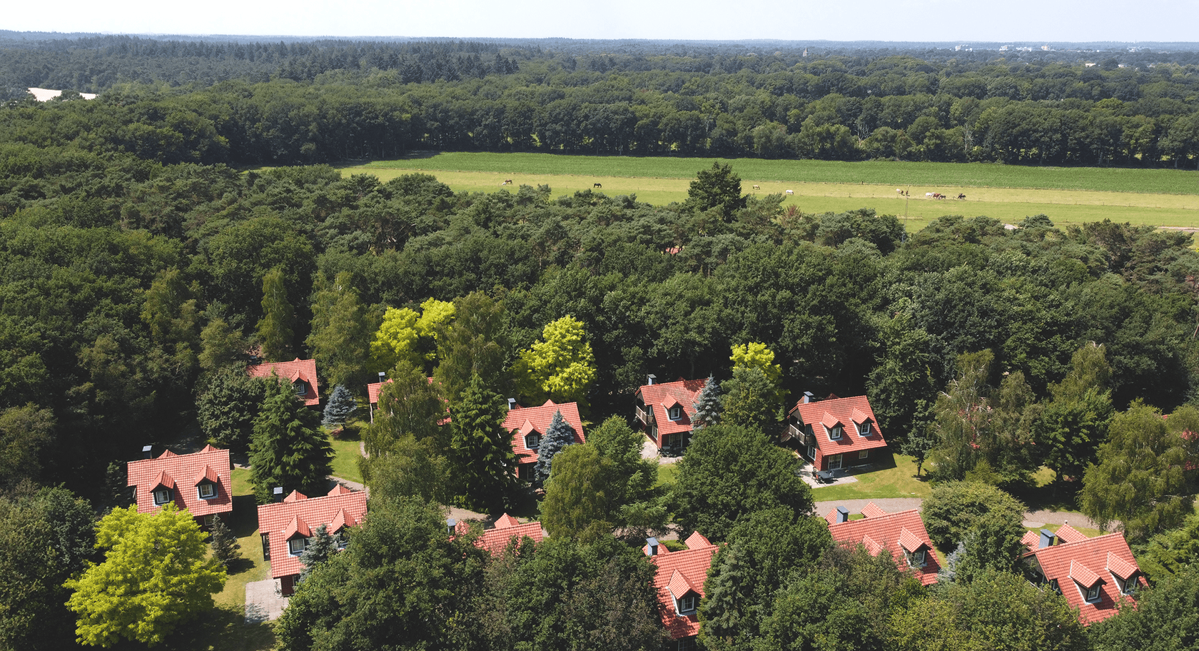 Header afbeelding