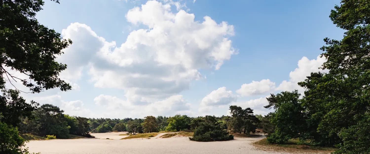 Header afbeelding
